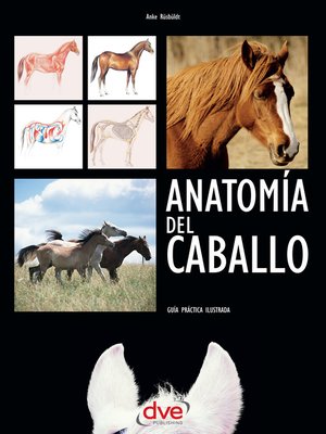 cover image of Anatomía del caballo